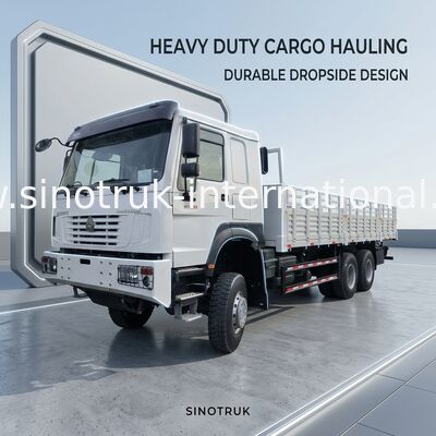 시노트루크 호우 새 화물 트럭 6 × 6 사륜 구동 Lhd 10 바퀴 긴 화물 상자