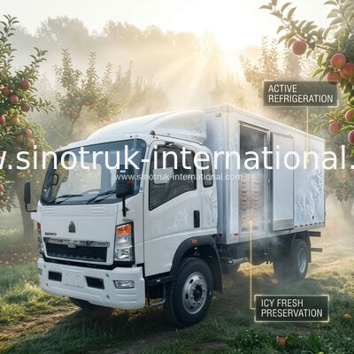 RHD SINOTRUK HOWO 10 톤 냉동 트럭 140HP