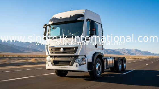 직업적인 화물 트럭 근수 기업을 위한 6X2 25 톤 LHD Euro2 290HP