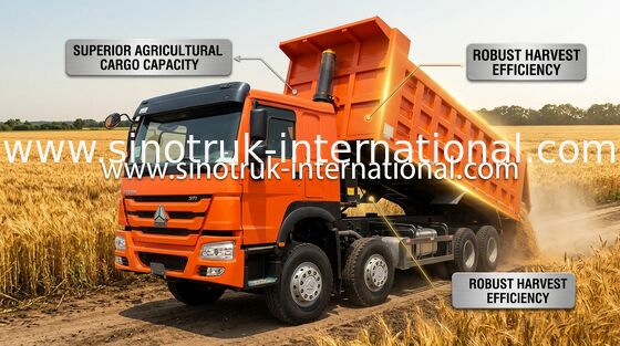 팁 주는 사람 트럭 SINOTRUK HOWO 371HP 12는 31 톤 LHD를 20-30CBM ZZ3317N3567W 선회합니다