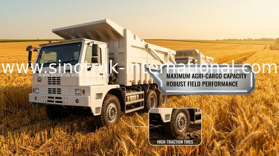 LHD 6X4 420HP를 채광하는 덤프 트럭 70 톤 팁 주는 사람 SINOTRUK HOWO70