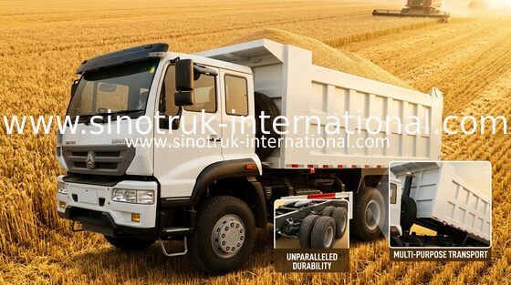 SINOTRUK 황금 황태자 덤프 트럭 10Wheels 336HP LHD 25-30tons ZZ3251N3641W
