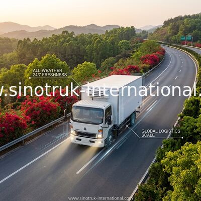 SINOTRUK HOWO 10 톤 냉동 트럭 160HP RHD