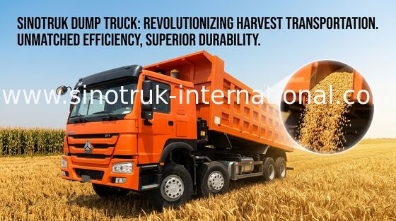 덤프 트럭 SINOTRUK HOWO 371HP 12는 LHD 31tons 20-30CBM ZZ3317N3867W를 선회합니다